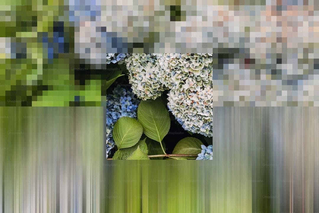 漳浦开渔 千帆竞发赴蓝海